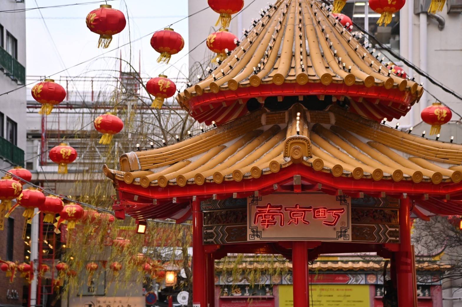 クラウドファンディングへの挑戦が始まりました！